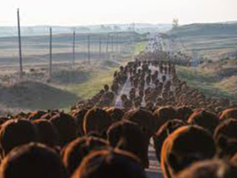 image of a heard of buffalo taking over a highway