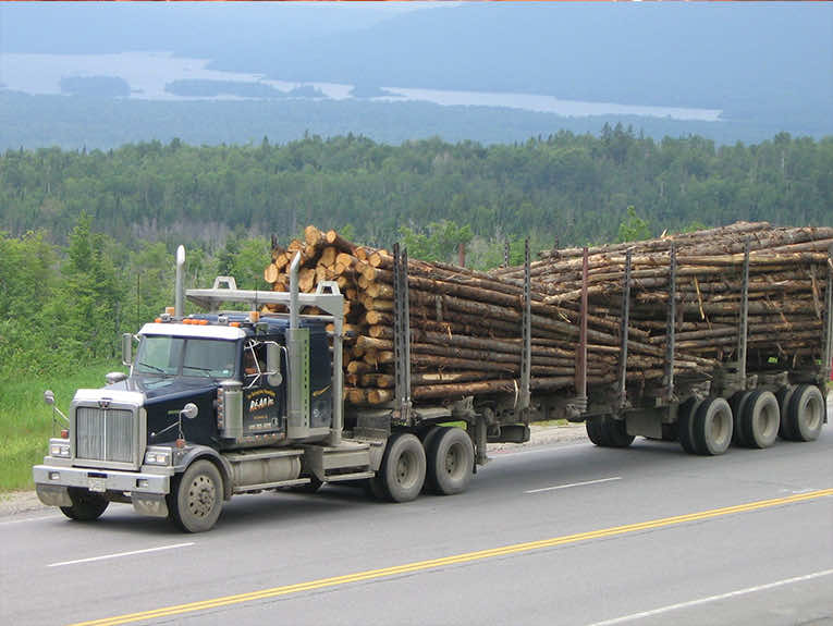 image of semi truck hauling large logs, driving through forest